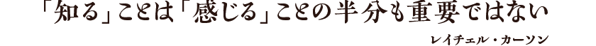 「知る」ことは「感じる」ことの半分も重要ではない レイチェル・カーソン